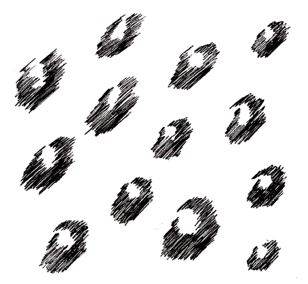How To Draw Animal Print - Diy Leopard Print Pattern Sea Lemon Youtube