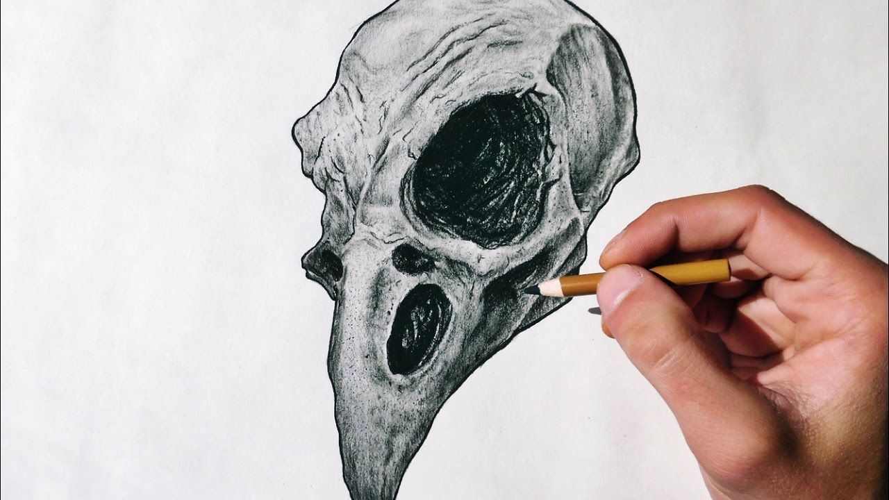 1280x720 Animal Skull Drawing - Animal Skeleton Drawing