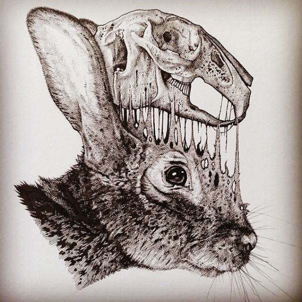 605x605 artist draws animals leaving their skeletons behind - Animal Skeleton Drawing
