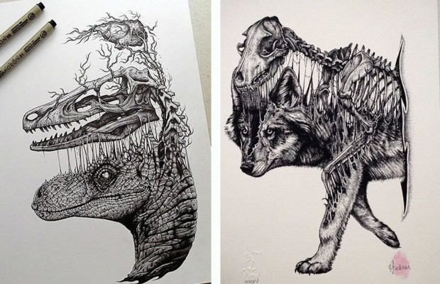 620x400 stunning drawings of animal skeletons - Animal Skeleton Drawing