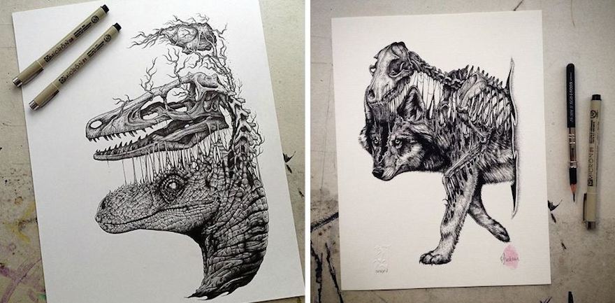 880x433 animals evolve out of their skeletons in dark drawings - Animal Skull Drawing
