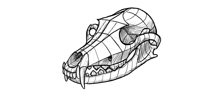 850x364 How To Use An Animal Skull For An Art Study - Animal Skull Drawing