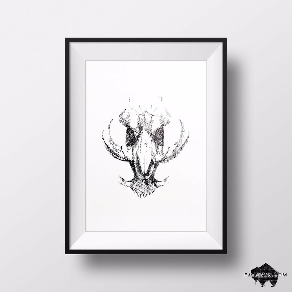1000x1000 Warthog Animal Skull Drawing - Animal Skull Drawing