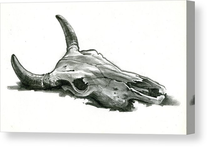 661x472 Animal Skull Canvas Print Canvas Art - Animal Skull Drawing
