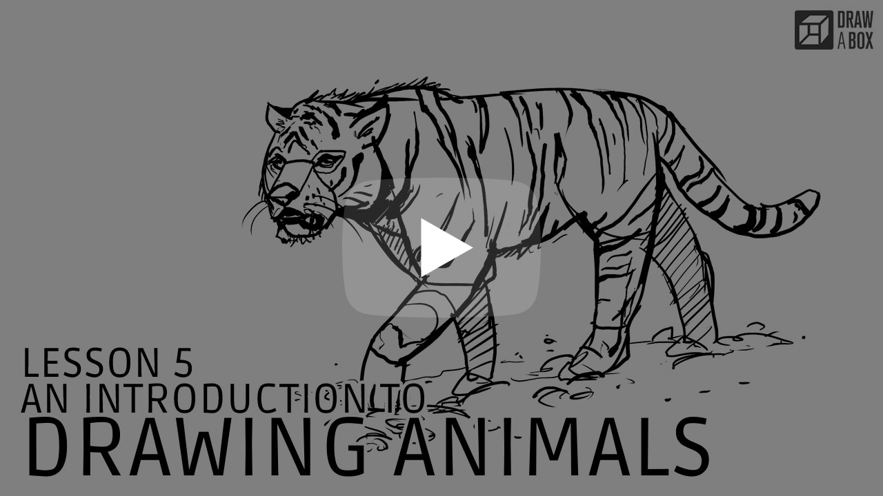 1280x720 Part Two Constructional Drawing Lesson - Animals Drawing Photos