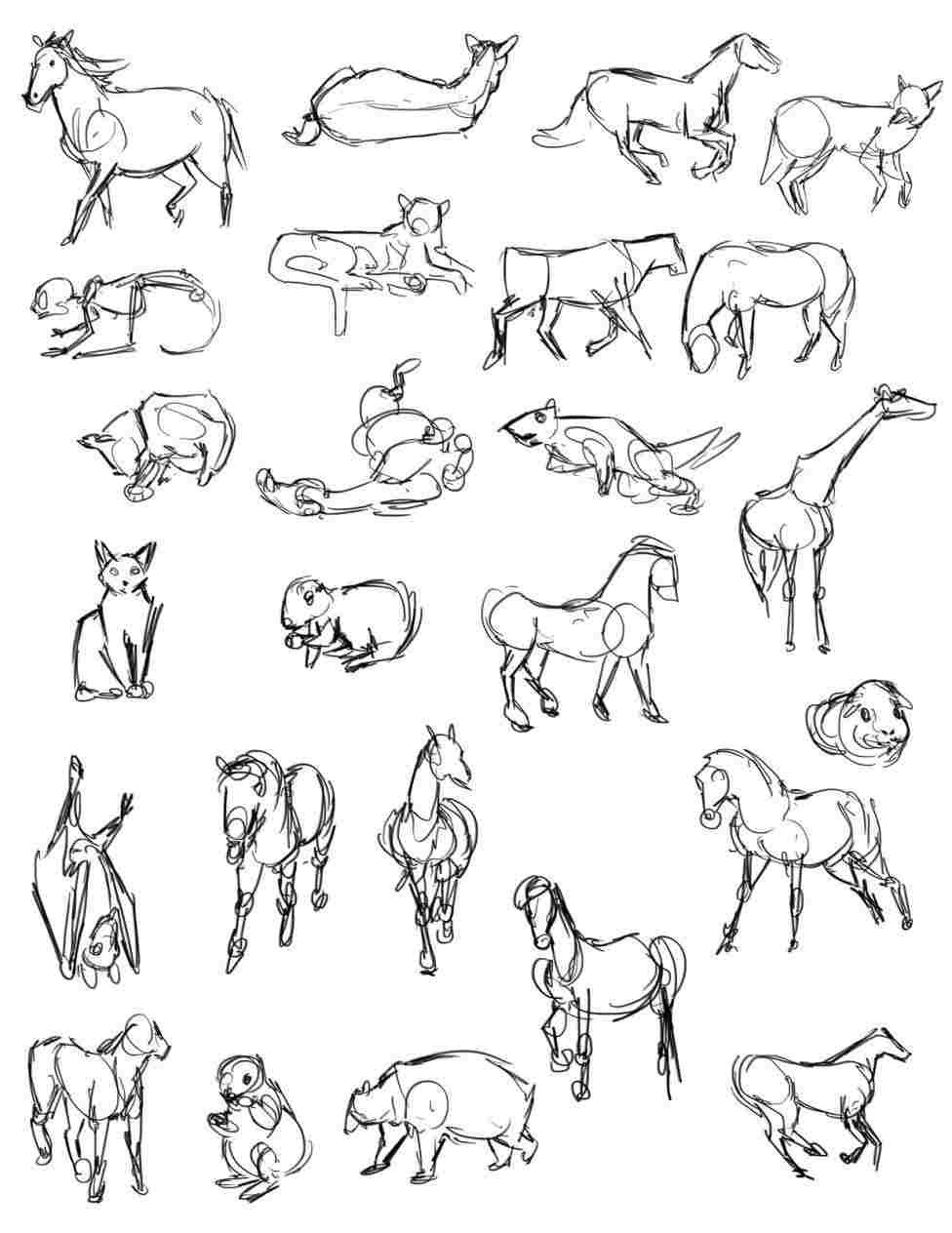 976x1264 rhyoutubecom easy easy animal drawings things to draw cute animals - Animals Drawing Photos