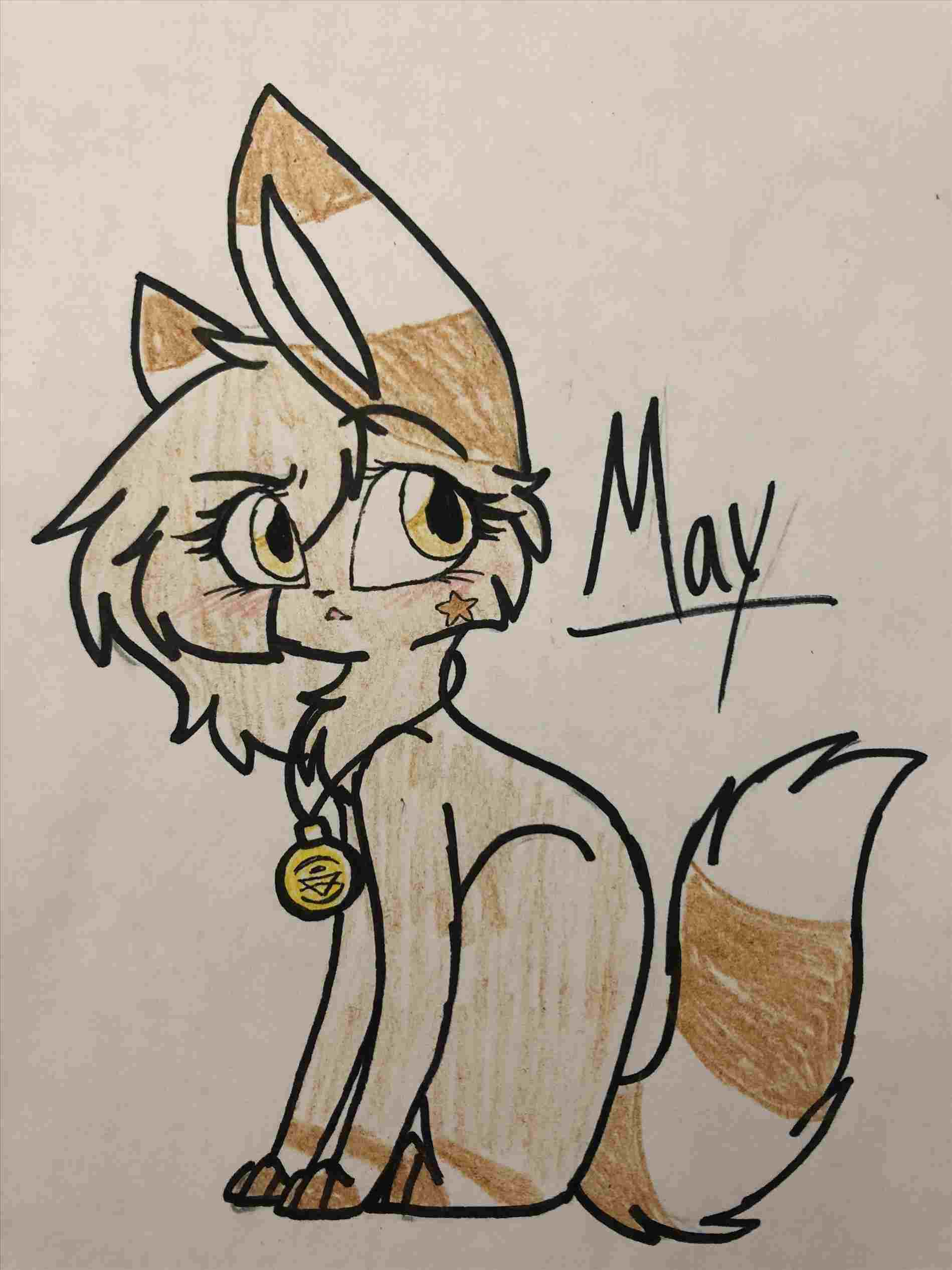 1899x2533 wikihowrhwikihowcom how animated cat drawings to draw anime s - Animated Cat Drawings