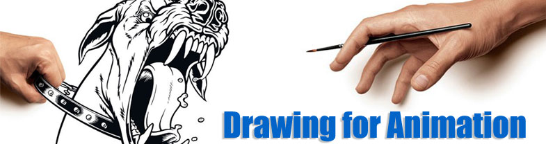 785x208 Drawing For Animation - Animation Drawing