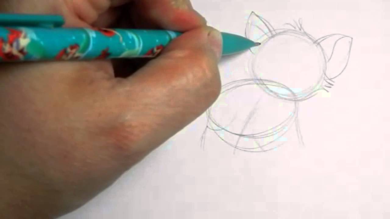 1280x720 How To Draw An Anime Cat - Anime Cat Drawing