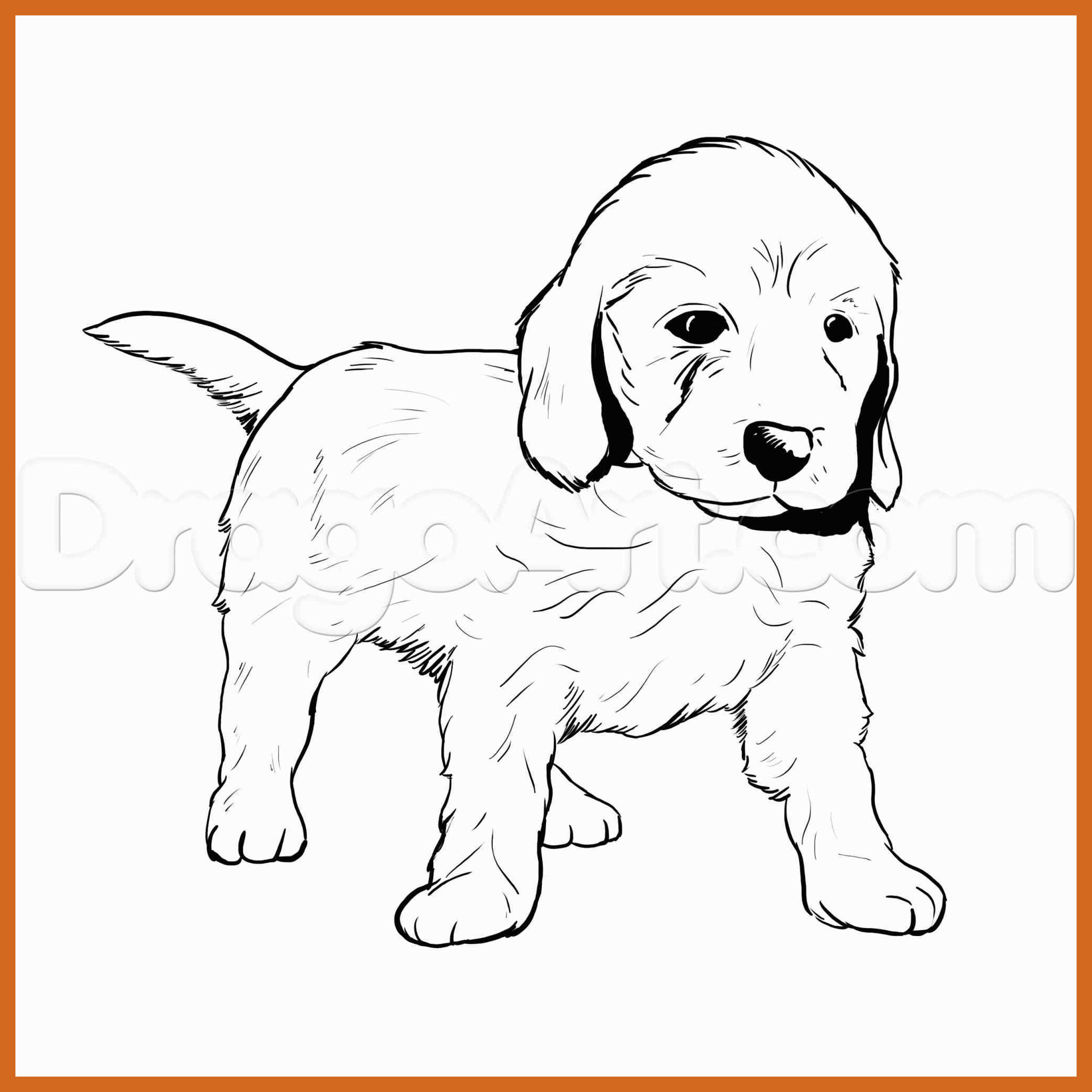 2072x2072 cute anime dog drawings pictures really super tumblr wmstdc - Anime Dog Drawing