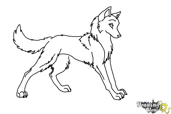 600x400 How To Draw Anime Wolves - Anime Dog Drawing