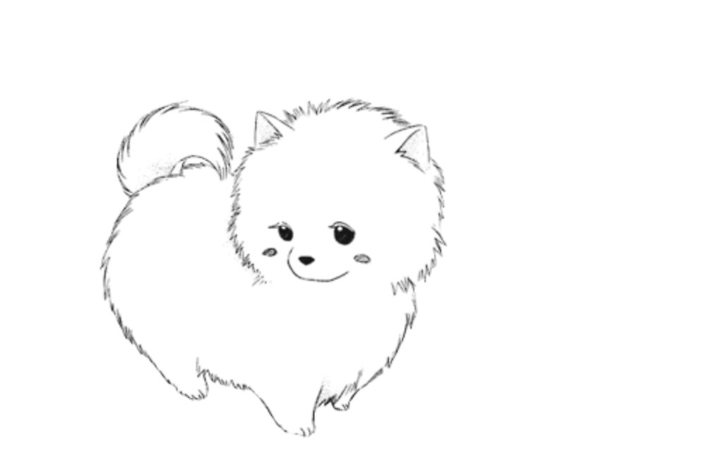 1000x652 Anime Dog - Anime Dog Drawing