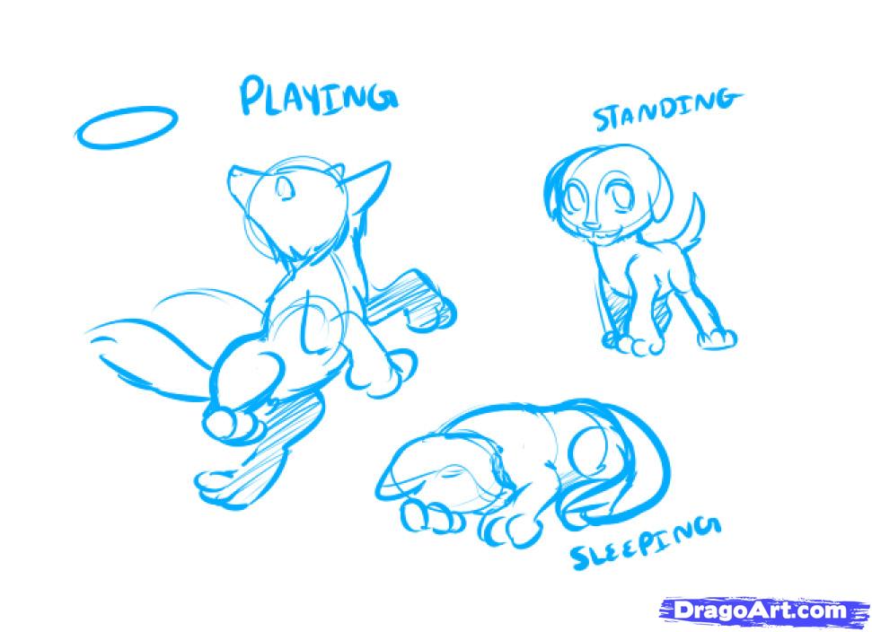 971x704 How To Draw An Anime Dog, Anime Dog, Step - Anime Dog Drawing