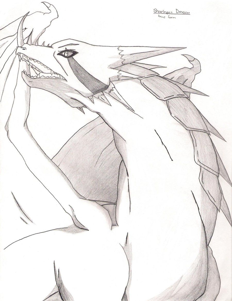 900x1165 Anime Dragon Drawings - Anime Dragon Drawing