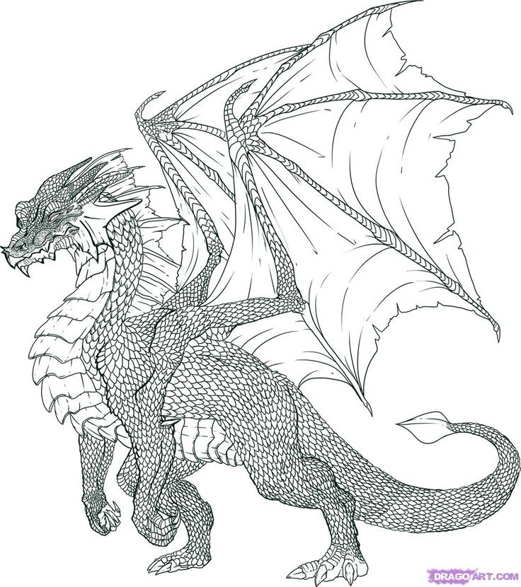 736x830 Anime Dragon Drawings - Anime Dragon Drawing