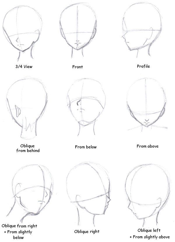 600x828 Manga Tutorial Head Direction - Anime Drawing Tutorial