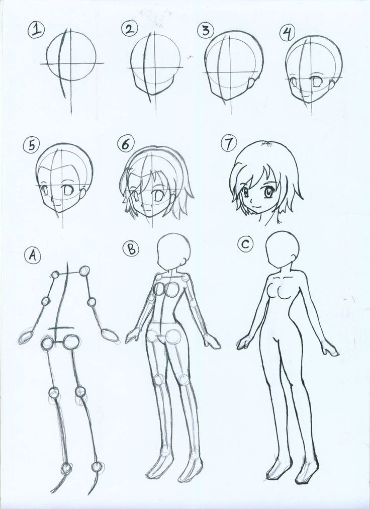 736x1012 How To Draw Anime Body Step - Anime Girl Body Drawing