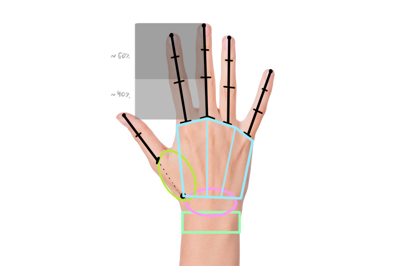 850x539 How To Draw Anime Hands And Feet - Anime Hand Drawing