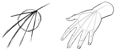 366x165 How To Draw Hands And Fingers In Manga Anime Illustration Style - Anime Hand Drawing