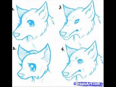 480x360 How To Draw Anime Wolves - Anime Wolf Drawing