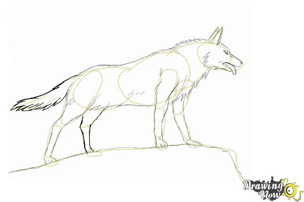 600x400 How To Draw An Anime Wolf - Anime Wolf Drawing