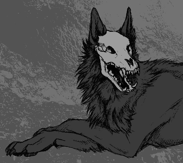638x569 Drawing Of A Wolf Skeleton Troller Us - Anime Wolf Drawings