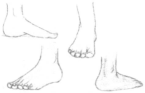 474x303 drawing the human figure the feet hubpages - Ankle Drawing
