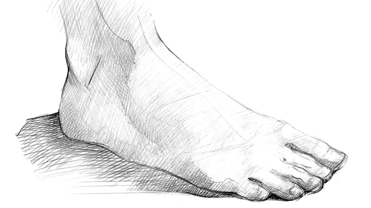 Ankle Drawing at Explore collection of Ankle Drawing