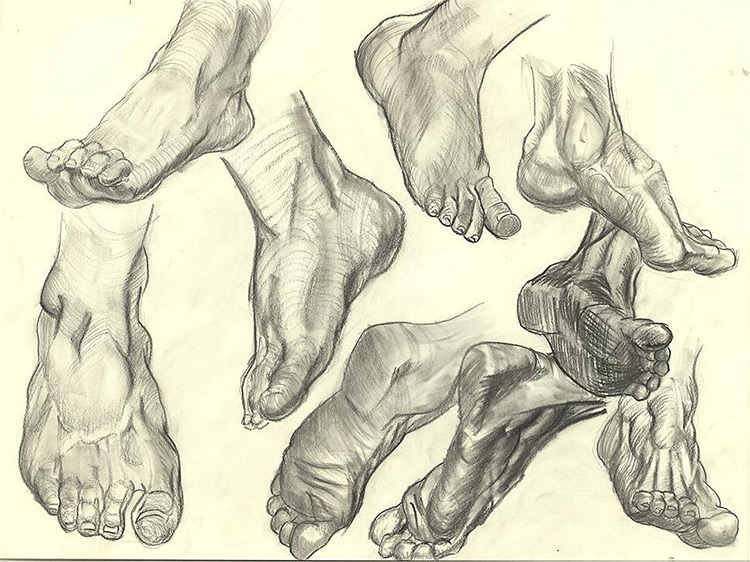 Ankle Drawing at Explore collection of Ankle Drawing