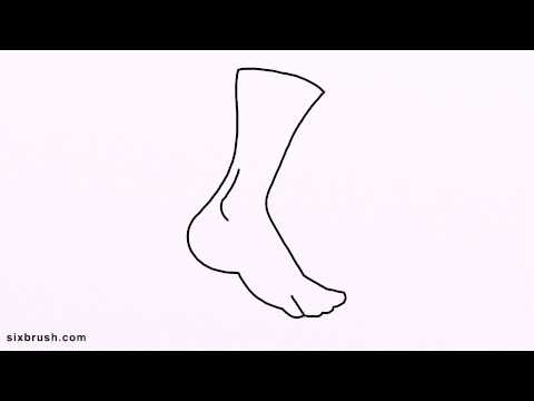 480x360 E How To Draw Ankle Easy For Beginners Step - Ankle Drawing
