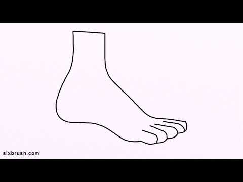 480x360 S How To Draw Ankle Step - Ankle Drawing