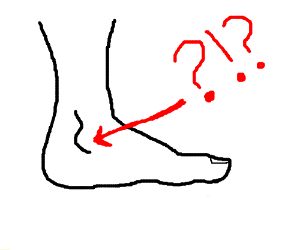 300x250 That Pointy Ball On Either Side Of Your Ankle Drawing - Ankle Drawing