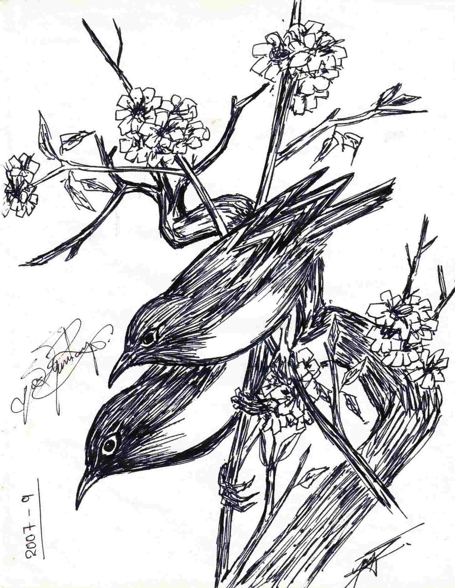 1454x1877 Rhcom Pin Pencil Sketch Of Birds - Annie Drawing