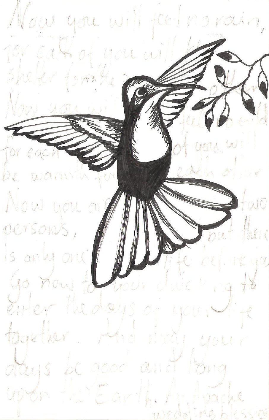 907x1415 hummingbird - Anniversary Drawings