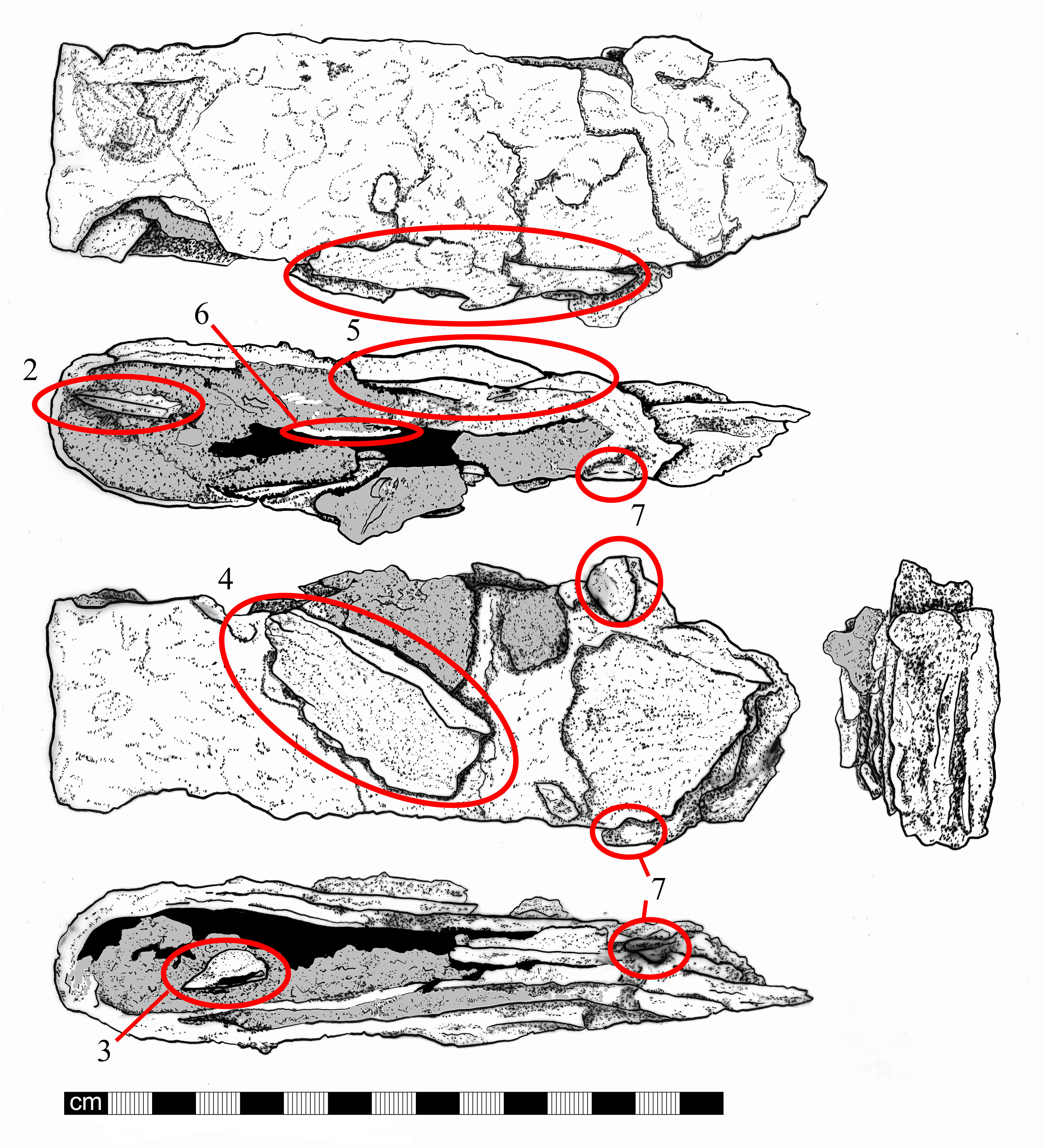 3300x3634 Filencl Early Medieval Pattern Welded Sword Drawing - Annotated Drawing