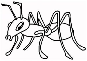 300x210 drawing of an ant how to draw an ant for kids ant drawing lesson - Ant Cartoon Drawing