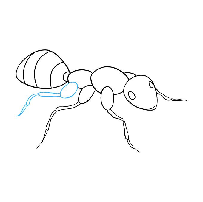 680x678 how to draw an ant - Ant Cartoon Drawing