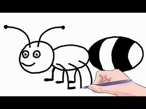 480x360 how to draw an ant easy step - Ant Cartoon Drawing