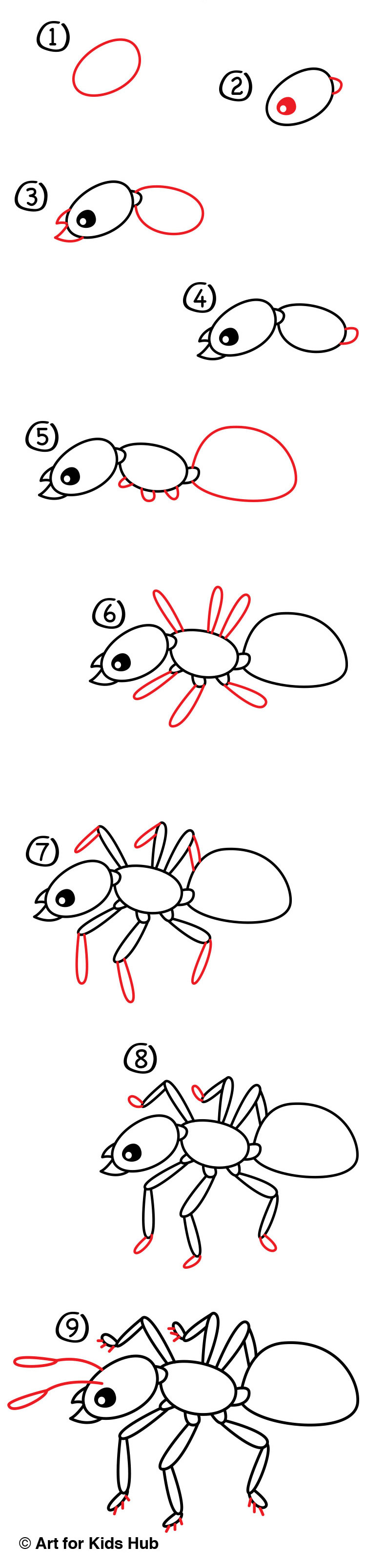 750x3207 how to draw an ant - Ant Drawing