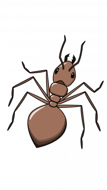 215x382 how to draw ant animals step drawing drawings, pencil - Ant Drawing