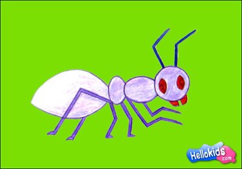 350x244 how to draw ant - Ant Drawing