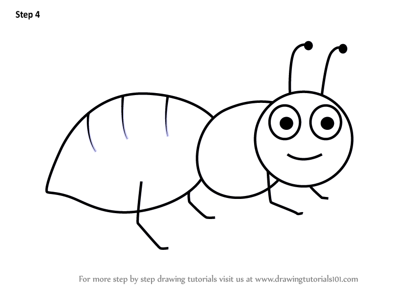 844x598 learn how to draw an ant for kids - Ant Drawing