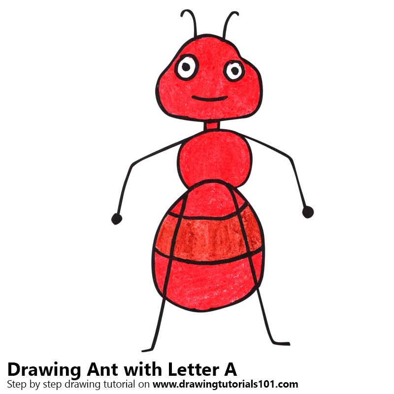 800x800 learn how to draw an ant from letter - Ant Drawing