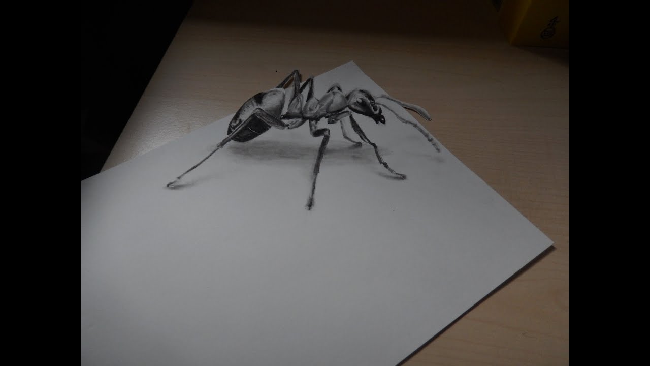 1280x720 speed drawing how to draw an ant ameise zeichnen - Ant Drawing