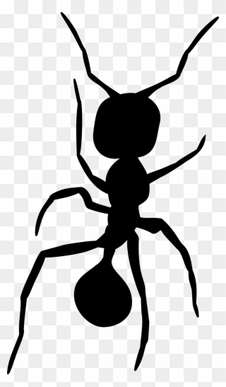 320x547 ant insect art silhouette drawing - Ant Drawing