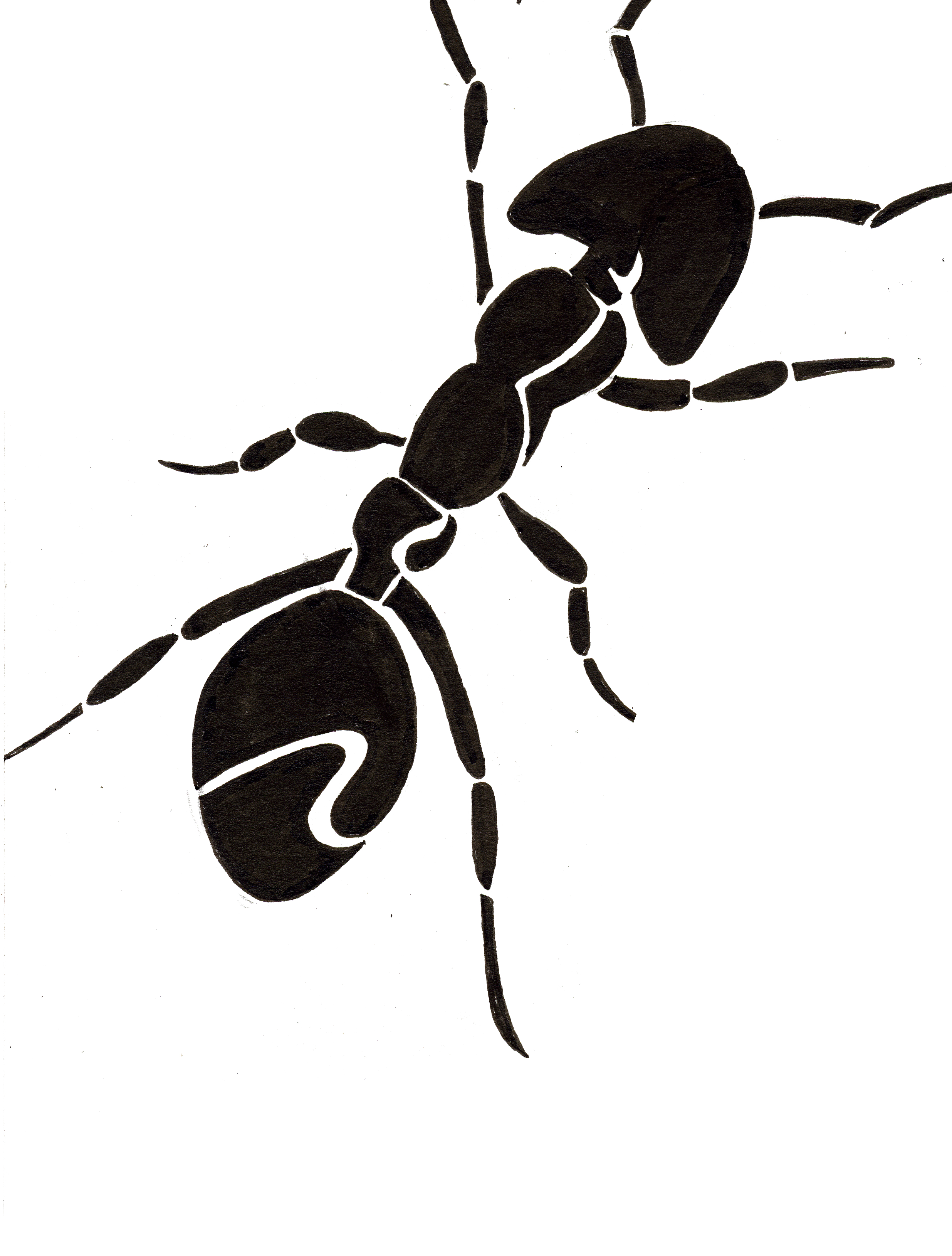 2471x3258 ant drawing - Ant Drawing