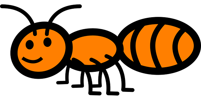 640x320 ant pictures for kids ant facts for kids cool kid facts lion - Ant Drawing For Kids