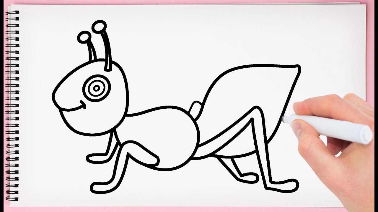 1280x720 how to draw ant easy learn drawing ant very easy with step - Ant Drawing For Kids