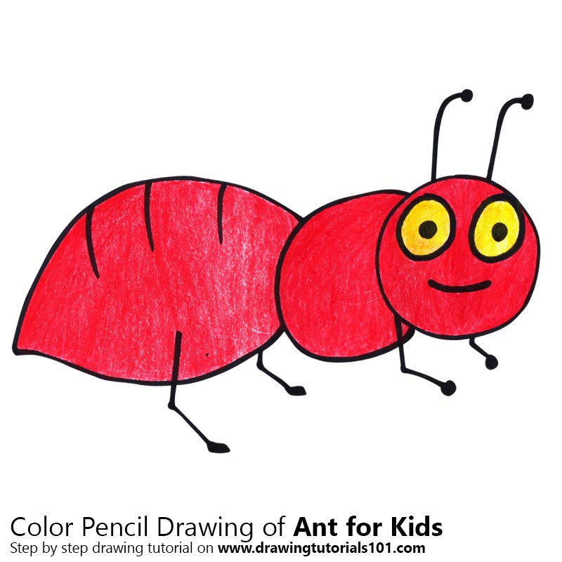 800x800 learn how to draw an ant for kids - Ant Drawing For Kids