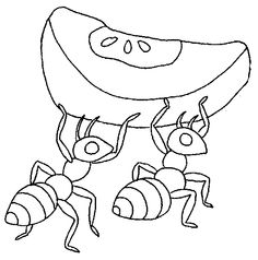 236x238 pictures of ants for kids gallery images - Ant Drawing For Kids